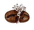 پودر قهوه