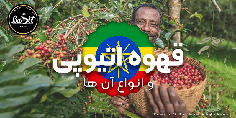 بهترین قهوه اتیوپی و انواع خاستگاه‌ها