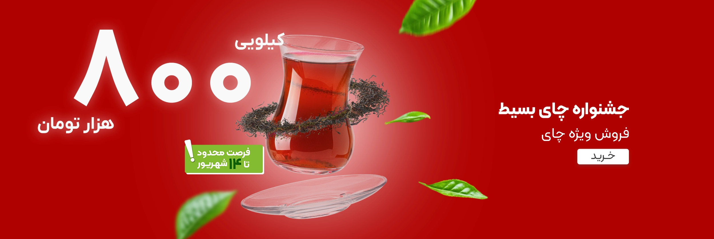 جشنواره چای بسیط