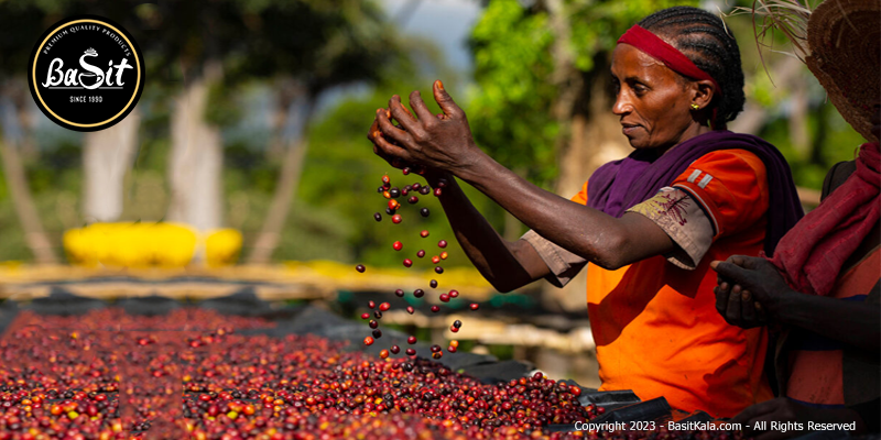 جغرافیای اتیوپی و رشد‌ قهوه