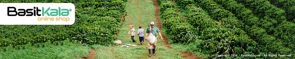 مناطق کشت قهوه در نیکاراگوئه