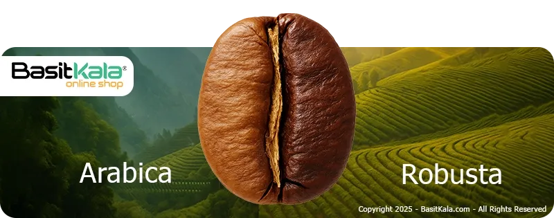 تفاوت قهوه روبوستا با عربیکا