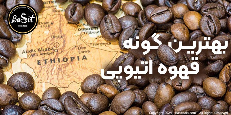 بهترین گونه قهوه در اتیوپی کدام نوع است؟
