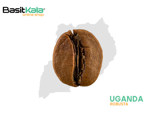 قهوه اوگاندا - روبوستا بسیط