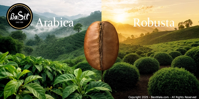 بهترین ترکیب عربیکا و روبوستا