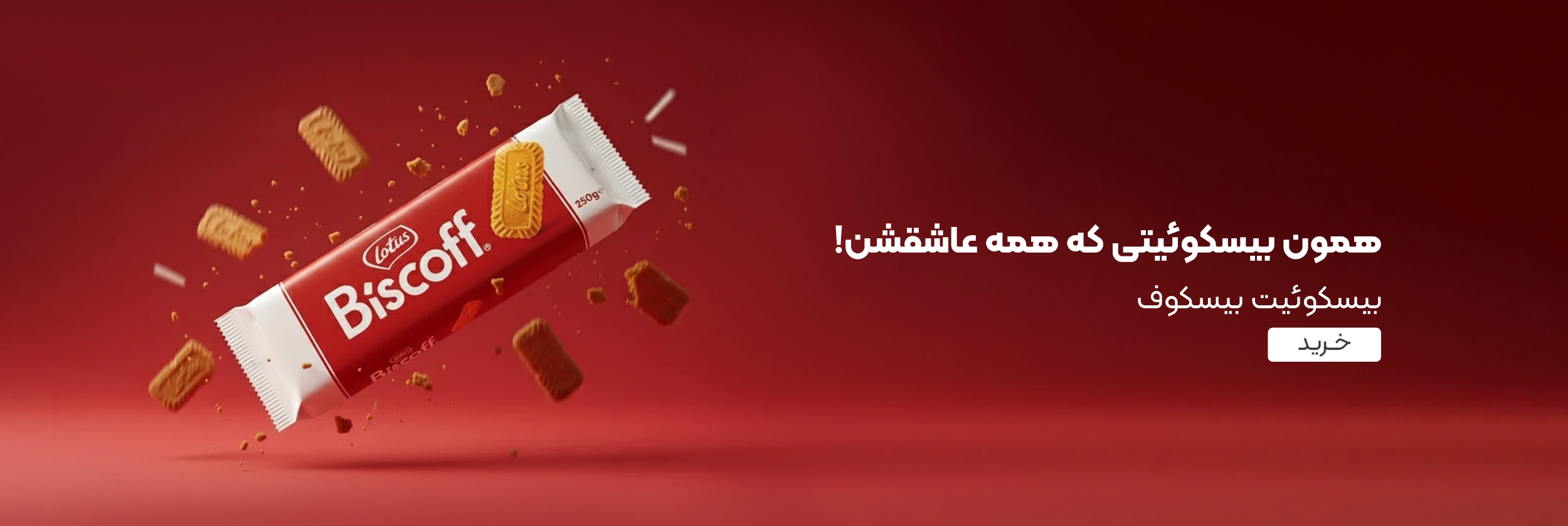 خرید بیسکوئیت بیسکوف