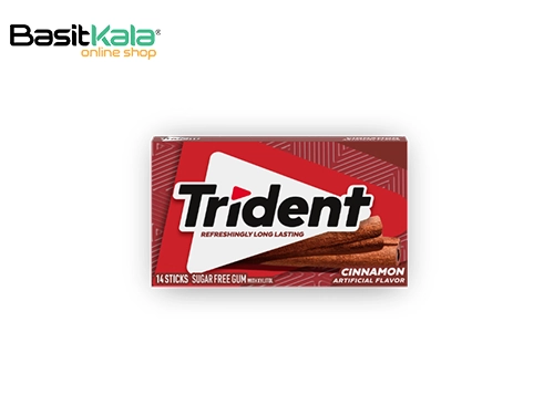 آدامس دارچین بدون قند 14 عددی تریدنت