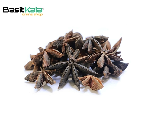 بادیان ستاره ای