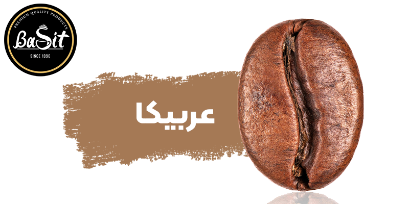 قهوه عربیکا و ویژگیهای آن